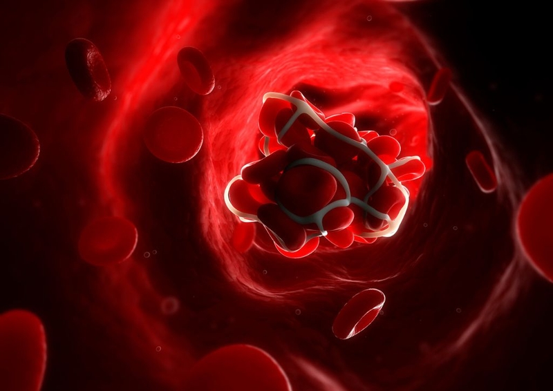 Cảnh báo: Uống Vitamin E và dầu cá cùng lúc có nguy cơ rối loạn đông máu 3