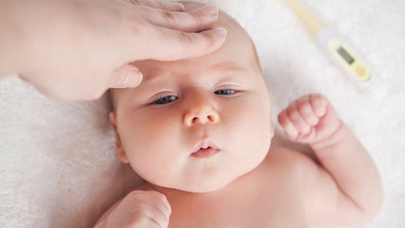 Vắc-xin 5 trong 1, 6 trong 1 có ngừa được phế cầu khuẩn không? 3