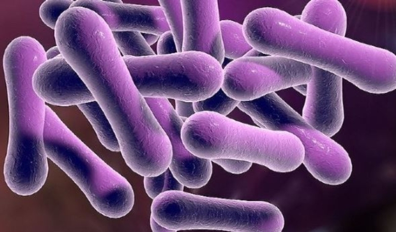 Vắc-xin bạch hầu có hiệu quả trong bao lâu? Biện pháp phòng ngừa dịch bạch hầu 1