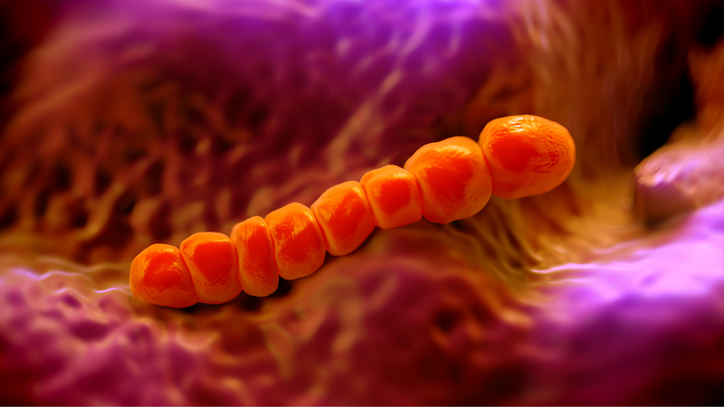 Vắc xin phế cầu 13 và phế cầu 15 khác nhau như thế nào? 1