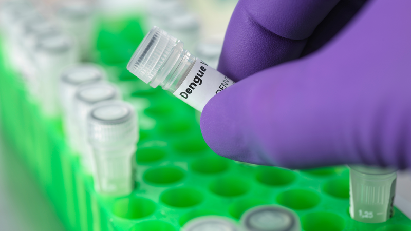 Vắc xin sốt xuất huyết giá bao nhiêu? Những điều bạn cần biết 1