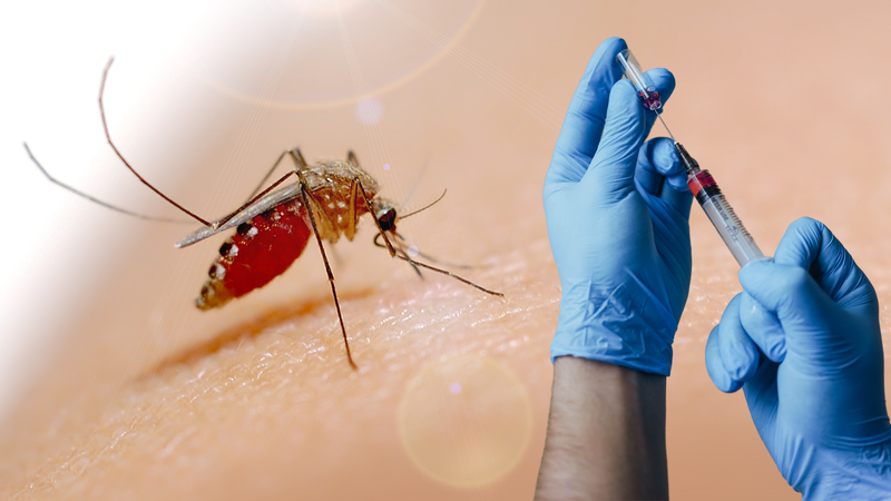 Vắc xin sốt xuất huyết giá bao nhiêu? Những điều bạn cần biết 2