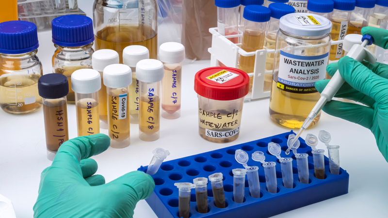 Vắc xin vector virus hoạt động như thế nào trong phòng bệnh? â