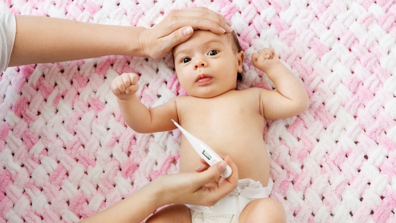 vacxin 6 trong 1 của bỉ hay pháp tốt hơn 4