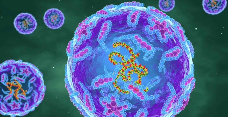 Vacxin OPV1 là gì? Một số tác dụng phụ không mong muốn khi sử dụng vacxin OPV 1