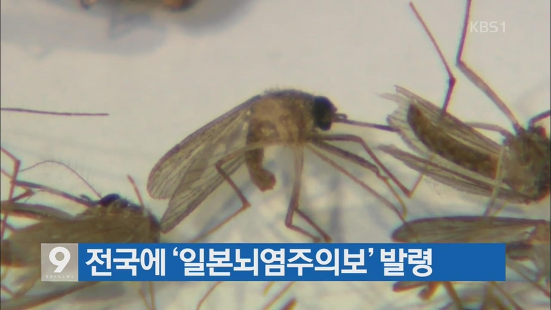 vắc xin viêm não nhật bản của Hàn Quốc 01