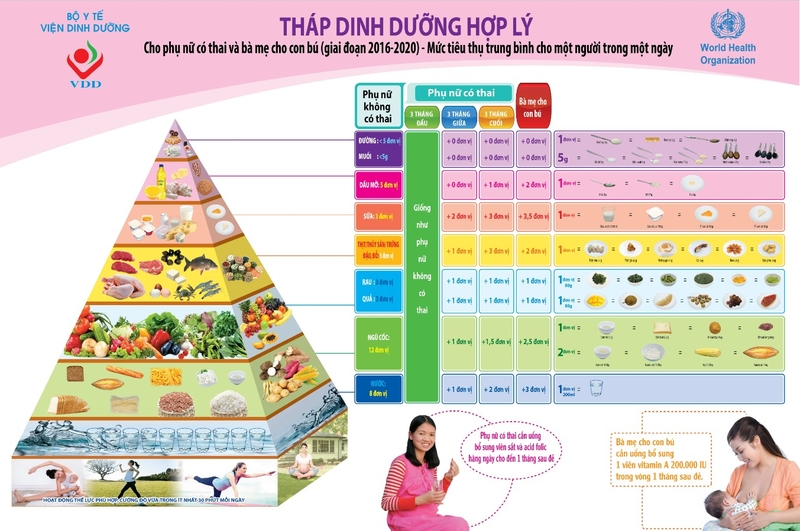 Vai trò của dinh dưỡng với phụ nữ có thai là gì? Tìm hiểu tháp dinh dưỡng cho bà bầu 4