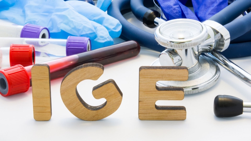 IgE cao không thể hiện chính xác mức độ nghiêm trọng của tình trạng dị ứng