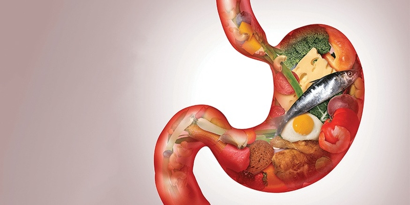 vai-tro-cua-enzyme-amylase-doi-voi-he-tieu-hoa-cua-tre-nho 1.jpg