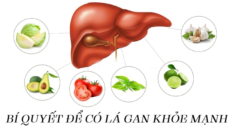 Vai trò của gan và cách duy trì chức năng gan
