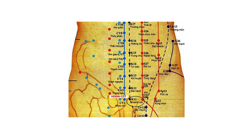 Vai trò của huyệt Hoành Cốt là gì trong điều trị bệnh?