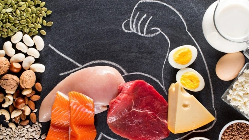 Vai trò của protein trong sự hình thành cơ bắp 2