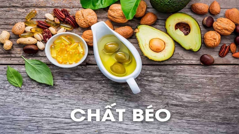 Vai trò quan trọng của chất béo đối với cơ thể 1