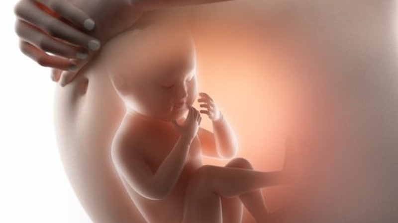 Van động mạch chủ hai mảnh: Nguyên nhân, triệu chứng và cách điều trị 1