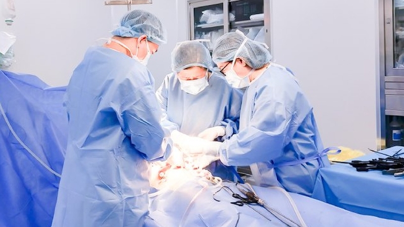 Van động mạch chủ hai mảnh: Nguyên nhân, triệu chứng và cách điều trị 4