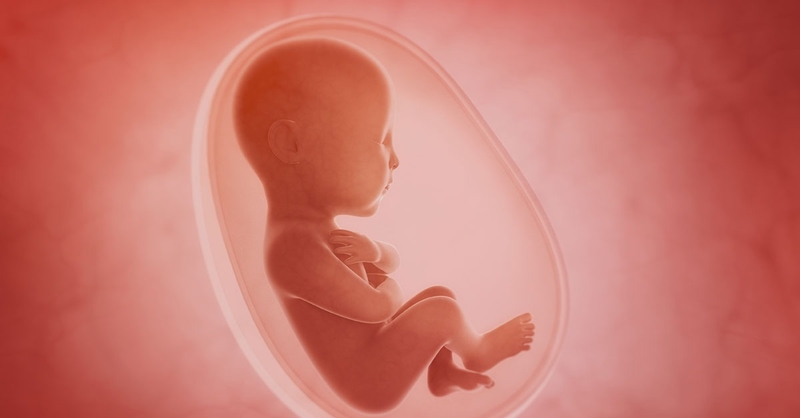 van-dong-sau-sinh-di-lai-nhieu-co-bi-sa-tu-cung-hay-khong 2.jpg