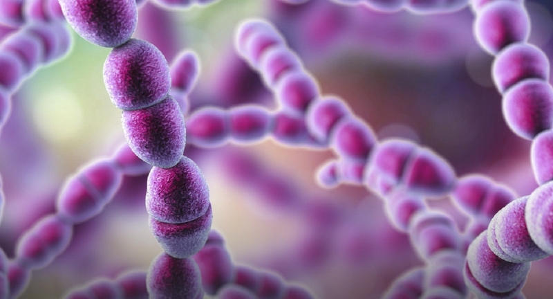 Van tim hậu thấp tim - Di chứng của nhiễm liên cầu khuẩn tan huyết nhóm A 1