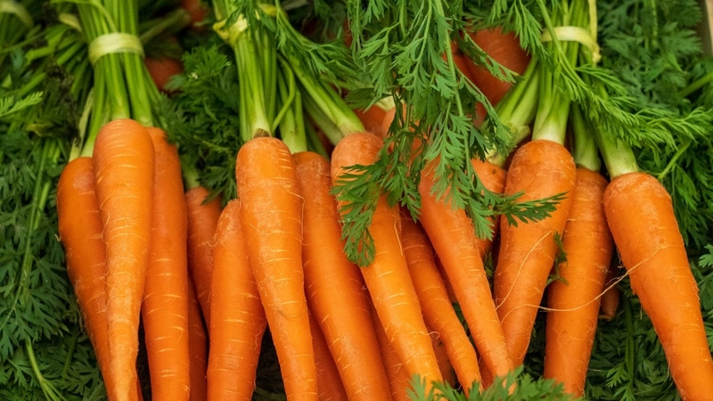 Vàng da lòng bàn tay có phải mắc bệnh không 1