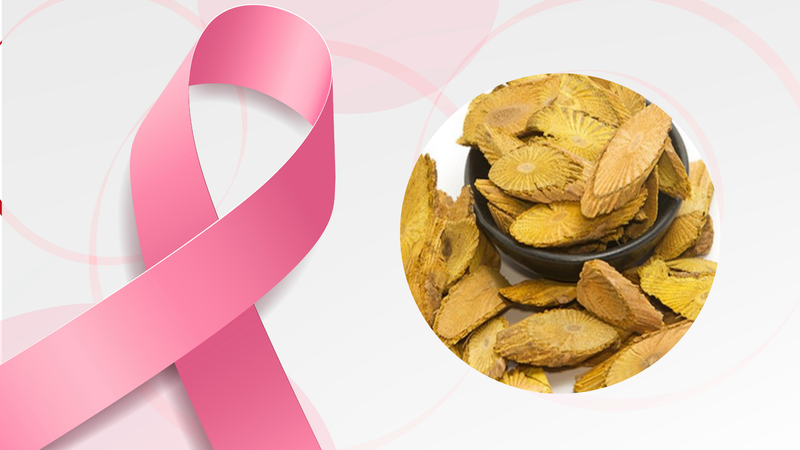 Cây Vàng đắng - nguồn nguyên liệu chiết xuất Berberin 5