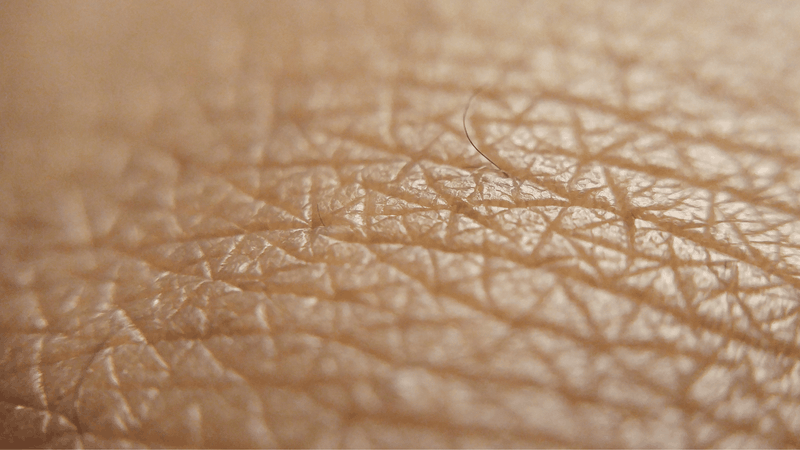 Hỗn hợp giúp bảo vệ da khỏi lão hóa, cải thiện độ đàn hồi và hạn chế nếp nhăn sớm, đặc biệt ở vùng da khô và nhạy cảm.