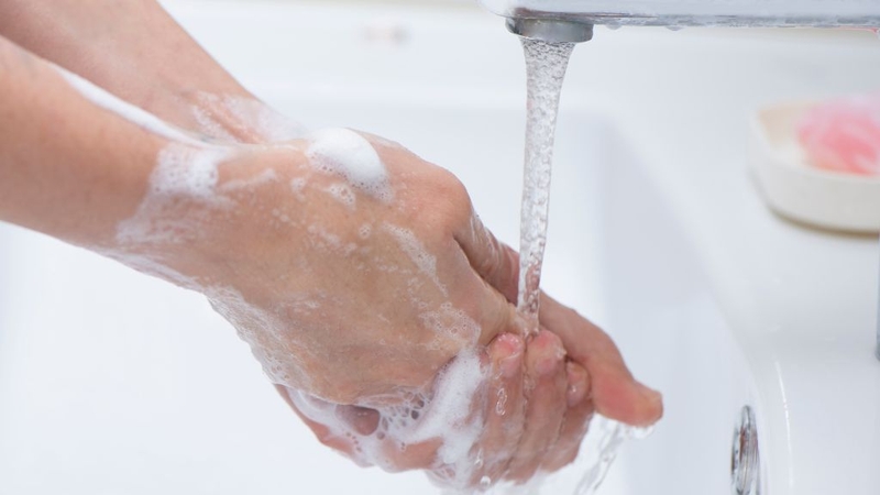 Vệ sinh tay bằng xà phòng trước khi vắt sữa