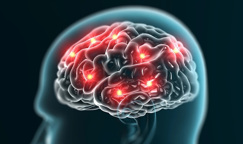 Chất lecithin tìm thấy trong vảy cá có nhiều lợi ích cho trí não