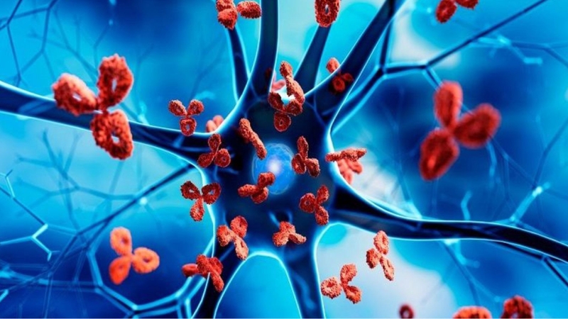 Rối loạn hệ miễn dịch có thể là nguyên nhân gây bệnh vảy nến