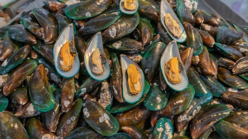 Ăn vẹm xanh đúng cách bạn sẽ nhận được nhiều lợi ích sức khỏe