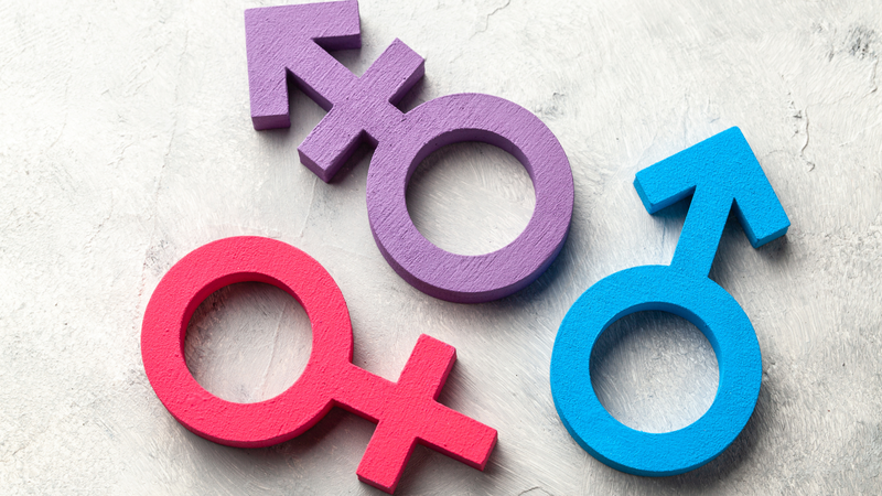 Vers không phải là một dạng giới tính, chỉ mô tả vai trò trong hoạt động tình dục