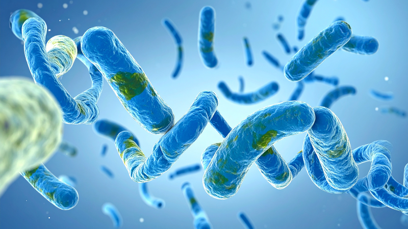 Vi khuẩn ăn thịt người là gì? Là thắc mắc của nhiều người khi nghe về loại vi khuẩn cực kỳ nguy hiểm này