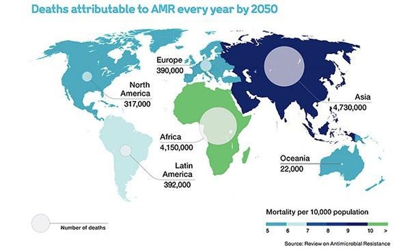 Vi khuẩn E.coli ở Việt Nam kháng thuốc kháng sinh do dùng thuốc bừa bãi 2