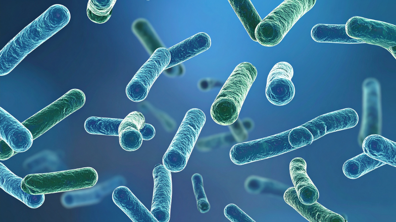 Vi khuẩn lây lan qua không khí, thực phẩm, nước uống, tiếp xúc trực tiếp