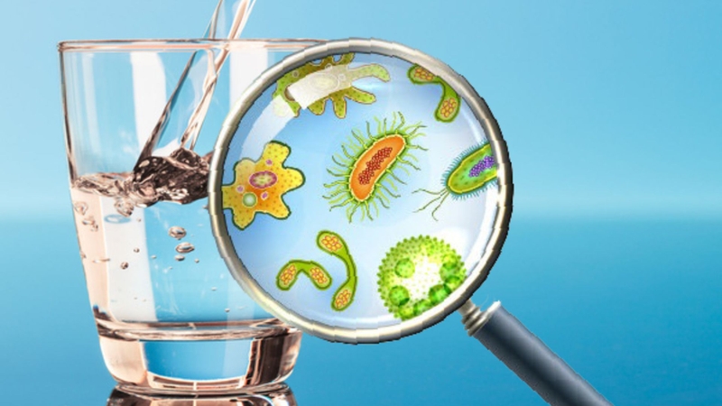 Vi khuẩn Lam - Hiểu rõ triệu chứng, con đường lây lan và cách phòng tránh 3