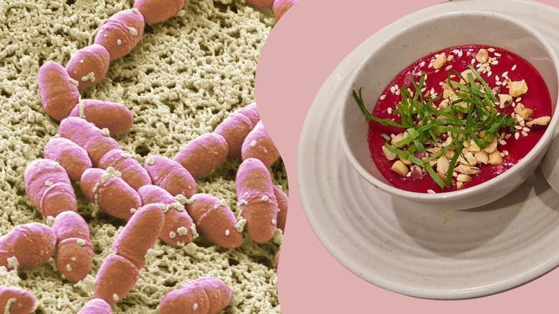 Vi khuẩn liên cầu lợn lây sang người như thế nào? 1