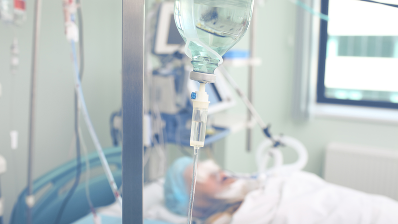 Vi khuẩn liên cầu lợn lây sang người như thế nào? 2