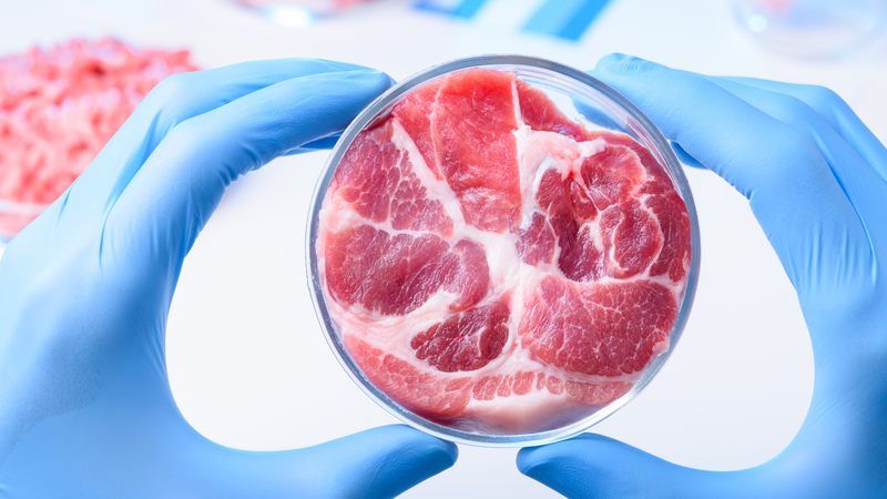 Vi khuẩn liên cầu lợn lây sang người như thế nào? 4