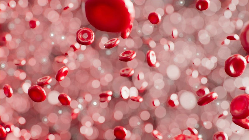 Vi nhựa trong bao bì thực phẩm có thể làm tăng nguy cơ mắc bệnh tim 1