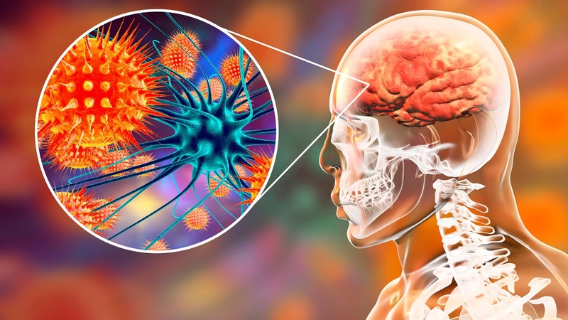 vi-rut-nipah-2.jpg?w=900