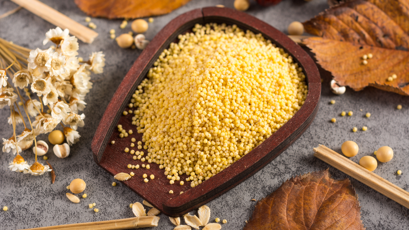 Vì sao hạt kê tốt cho việc giảm mỡ bụng? 1