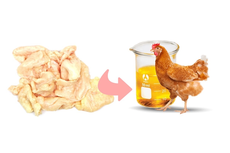 Vì sao mỡ cá và mỡ gia cầm lại tốt cho sức khỏe 2