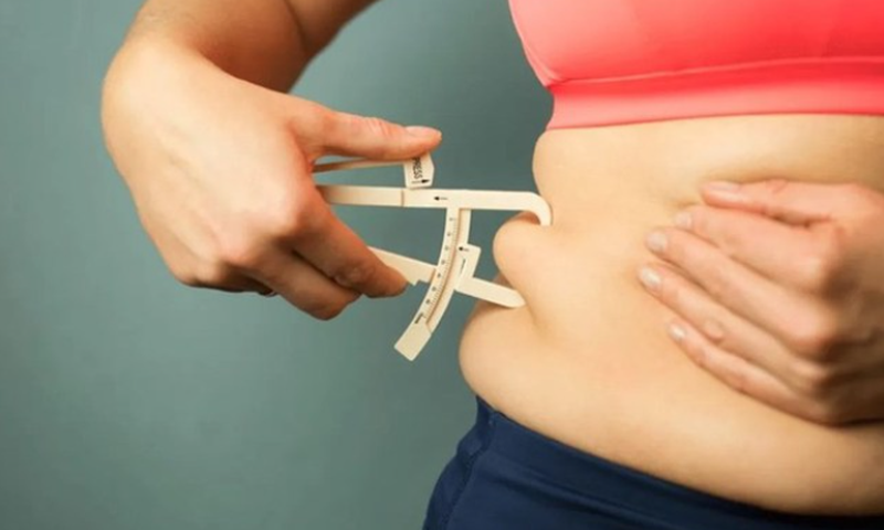 Vì sao mỡ nội tạng gây bệnh? Cách giảm mỡ nội tạng cho cơ thể 2