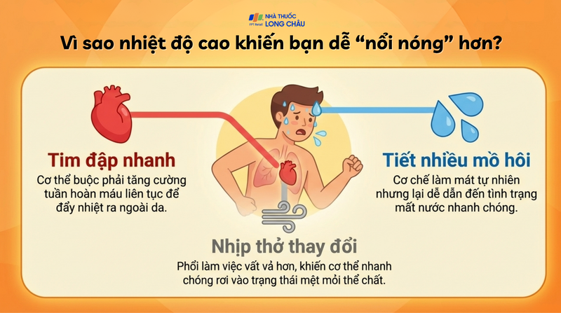 Khi nhiệt độ môi trường tăng, cơ thể phải hoạt động nhiều hơn để giữ ổn định thân nhiệt