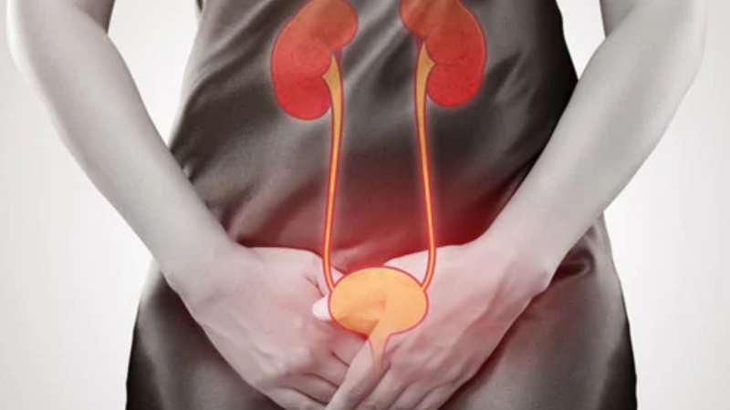 7 lý do vì sao phụ nữ dễ viêm đường tiểu hơn nam giới 1