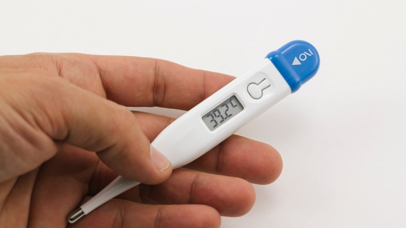 Sốt xuất huyết thường khởi phát với sốt cao, đau nhức cơ thể