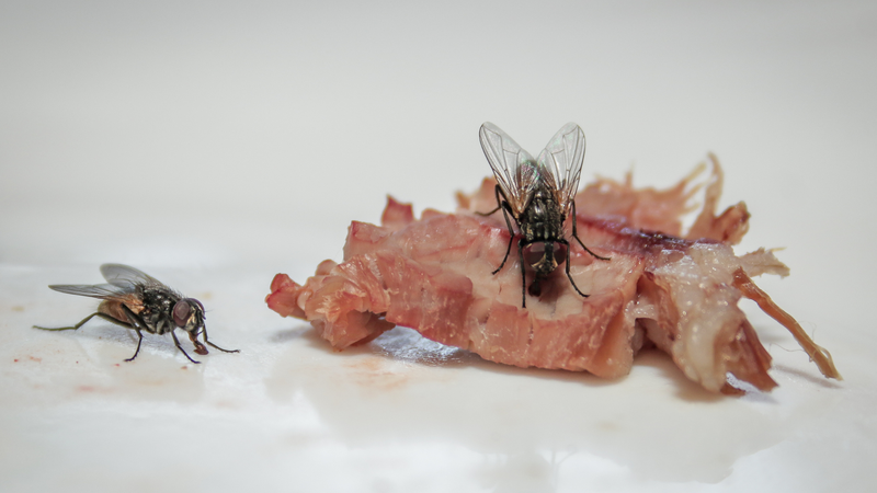 Hãy lựa chọn thịt có nguồn gốc rõ ràng và tránh các dấu hiệu bất thường