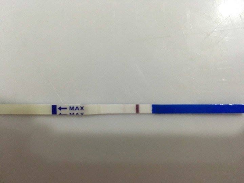 hinh-que-thu-co-thai-va-khong-co-thai-2