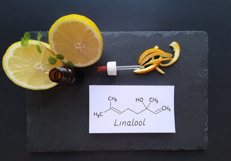 Vì sao tinh dầu ngọc am được ví như liệu pháp an thần từ thiên nhiên? 1