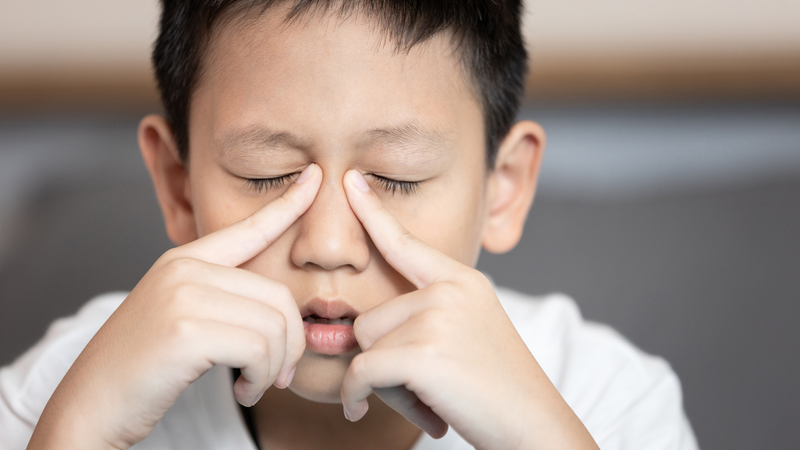 Trẻ bị viêm mũi dị ứng kéo dài có thể do thường xuyên tiếp xúc với dị nguyên