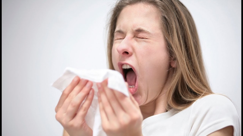 Vì sao viêm mũi dị ứng xảy ra lúc chuyển mùa? 2