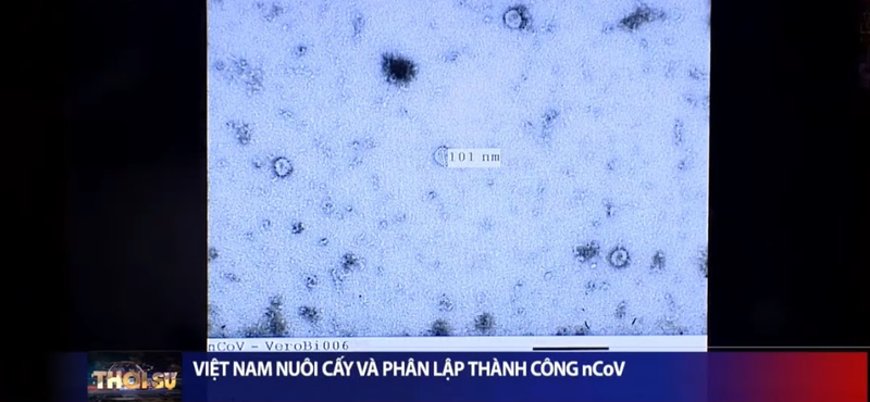 Vì sao Việt Nam thành công trong việc chặn đứng virus Covid 19